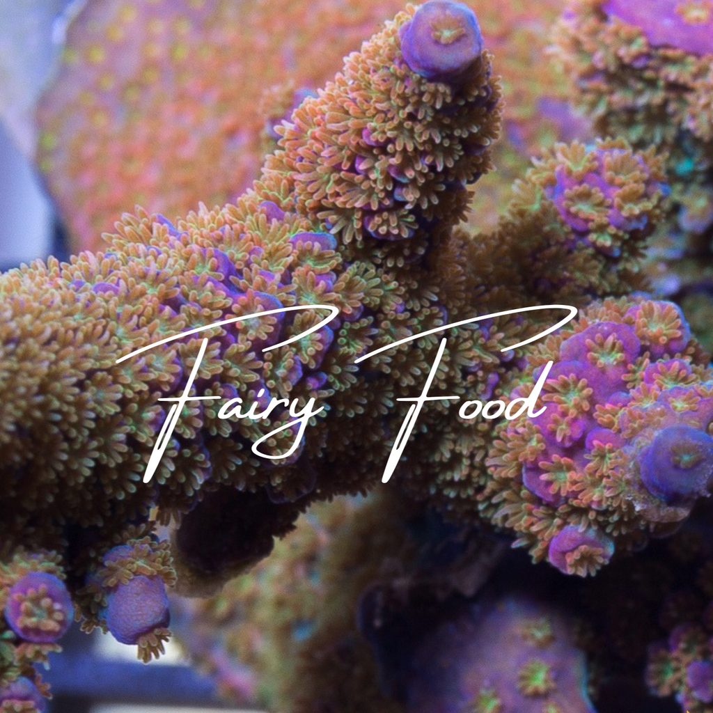 product.featured_image.alt