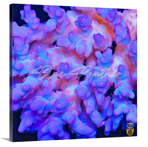 product.featured_image.alt