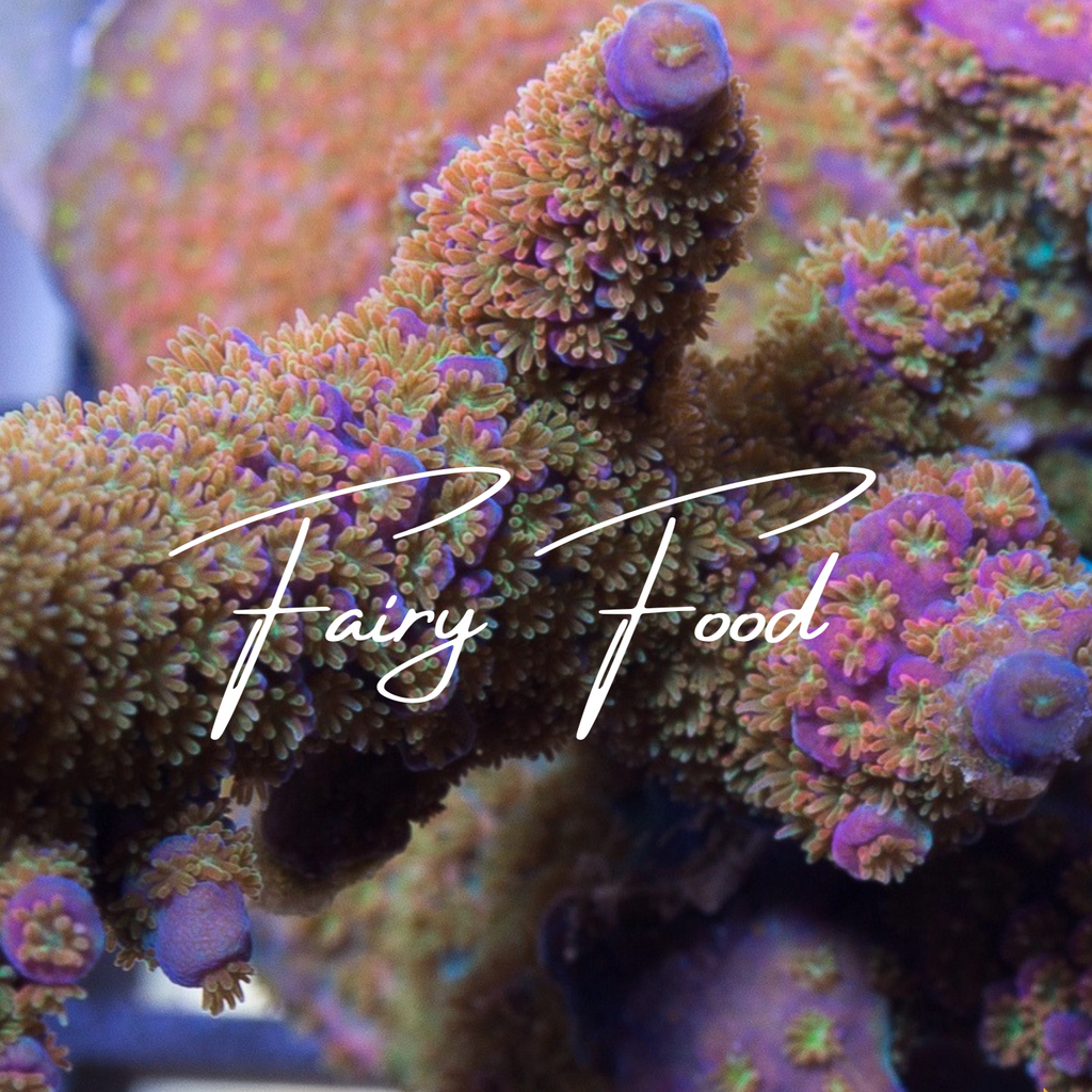 product.featured_image.alt